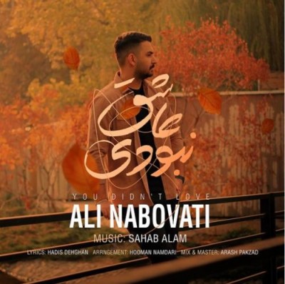 دانلود آهنگ علی نبوتی به نام عاشق نبودی