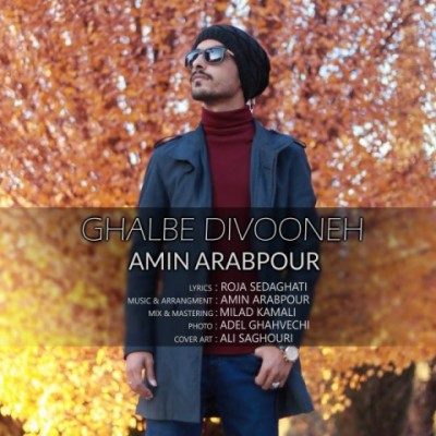 دانلود آهنگ امین عرب پور به نام قلب دیوونه دانلود آهنگ امین عرب پور به نام قلب دیوونه