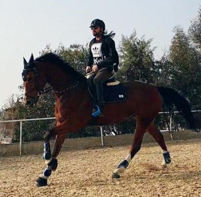 دانلود آهنگ جدید امیر عباس گلاب تکرار دانلود آهنگ جدید امیر عباس گلاب تکرار