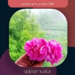 دانلود آهنگ سلام من به تو یار قدیمی