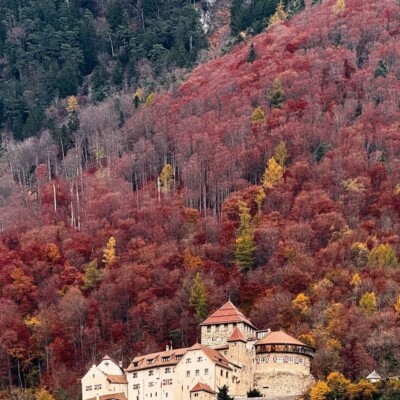 دانلود آهنگ جینگ و جینگ ساز میاد از بالای شیراز میاد تمام اجرا ها + پخش آنلاین دانلود آهنگ جینگ و جینگ ساز میاد از بالای شیراز میاد تمام اجرا ها + پخش آنلاین
