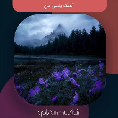 دانلود آهنگ پلیس من همراه ریمیکس دانلود آهنگ پلیس من همراه ریمیکس