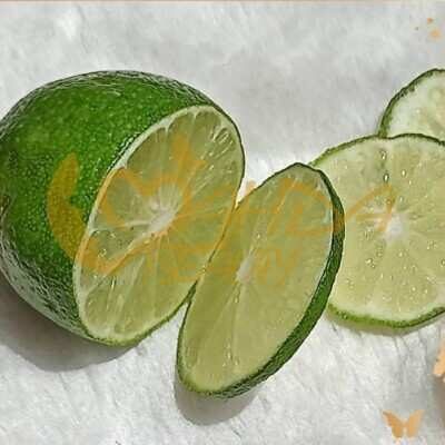 دانلود آهنگ چالش لیمو