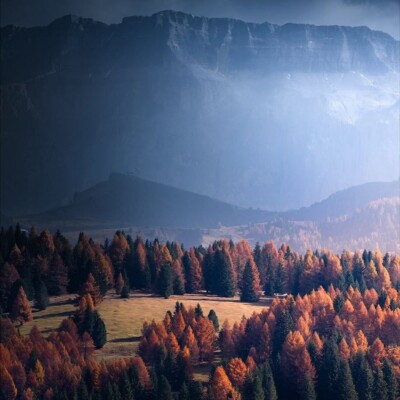 دانلود آهنگ حرام حرام عربی معروف شده + پخش آنلاین دانلود آهنگ حرام حرام عربی معروف شده + پخش آنلاین