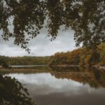 دانلود آهنگ آقا پلیسه زرنگه با دزدا خوب میجنگه MP3 اصلی + پخش آنلاین دانلود آهنگ آقا پلیسه زرنگه با دزدا خوب میجنگه MP3 اصلی + پخش آنلاین