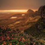 دانلود تمامی آهنگ های آغلاما آغلاما از تمام خواننده ها + پخش آنلاین