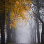 دانلود آهنگ بی تو نفس کشیدن MP3 اصلی + پخش آنلاین دانلود آهنگ بی تو نفس کشیدن MP3 اصلی + پخش آنلاین