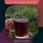 دانلود آهنگ تازه روزان بوشوبی چایی باغ سر آی مریم ترانه معروف شمالی دانلود آهنگ تازه روزان بوشوبی چایی باغ سر آی مریم ترانه معروف شمالی