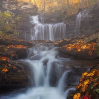 دانلود تمامی نسخه های آهنگ دلاروم دلاروم تمامی خوانندگان