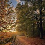 دانلود آهنگ یاندیر دین قلبیمی امان ریمیکس تمام اجرا ها + پخش آنلاین دانلود آهنگ یاندیر دین قلبیمی امان ریمیکس تمام اجرا ها + پخش آنلاین