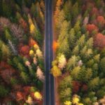 دانلود آهنگ اتا برار دارمه مه افتخاره شه برار بمیرم همراه پخش آنلاین دانلود آهنگ اتا برار دارمه مه افتخاره شه برار بمیرم همراه پخش آنلاین