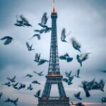 دانلود تمامی آهنگ های عزیز بشینه کنارم تمام اجرا ها + پخش آنلاین