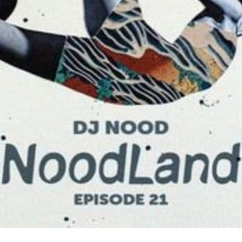 دانلود ریمیکس نودلند 21