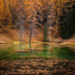 دانلود آهنگ ترکی بنیم بو دردیم تمام اجرا های پخش شده + پخش آنلاین