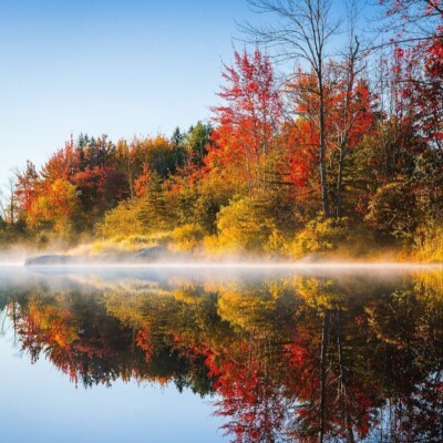 دانلود آهنگ لری سر سنگ مزارم گل بریزید تمام اجرا های پخش شده + پخش آنلاین