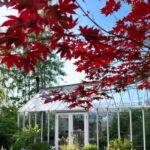 دانلود آهنگ عربی وناسه (MP3 اصلی) + پخش آنلاین