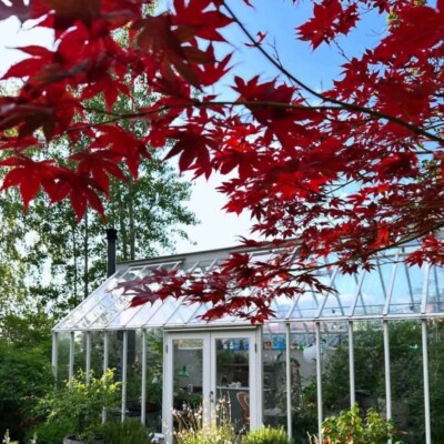 دانلود آهنگ عربی وناسه (MP3 اصلی) + پخش آنلاین