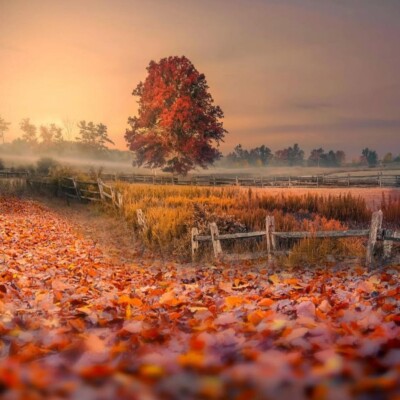 دانلود آهنگ لری اری چوپونکه بوعتم تمام اجرا های پخش شده + پخش آنلاین دانلود آهنگ لری اری چوپونکه بوعتم تمام اجرا های پخش شده + پخش آنلاین