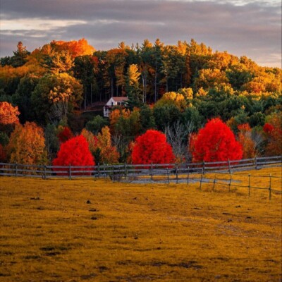 دانلود آهنگ ترکی بن گلدیم سانا تمام اجراهای پخش شده