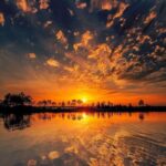 دانلود آهنگ ترکی نفس MP3 اصلی تمام اجراهای پخش شده دانلود آهنگ ترکی نفس MP3 اصلی تمام اجراهای پخش شده