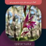 دانلود آهنگ لری مو حالم خرابه خرابم روز و شو