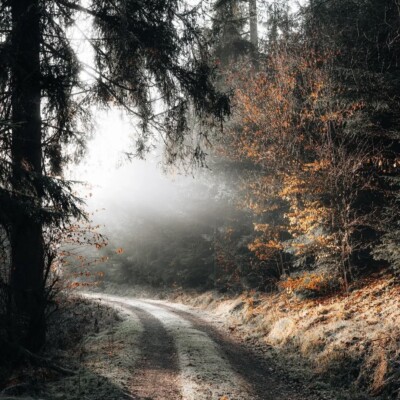 دانلود نوحه ترکی بیلمدیم هچ گناهیمی اوخلادیلار دانلود نوحه ترکی بیلمدیم هچ گناهیمی اوخلادیلار