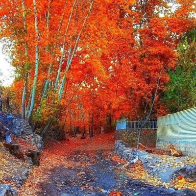 دانلود آهنگ کوچه به کوچه شهر به شهر نشونتو هی میگیرم تمام اجرا ها دانلود آهنگ کوچه به کوچه شهر به شهر نشونتو هی میگیرم تمام اجرا ها