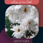 دانلود آهنگ بنه ای روزگاره تمام اجرا های پخش شده دانلود آهنگ بنه ای روزگاره تمام اجرا های پخش شده