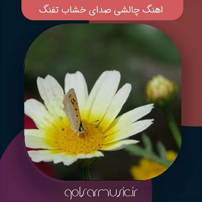 دانلود اهنگ چالشی صدای خشاب تفنگ دانلود اهنگ چالشی صدای خشاب تفنگ