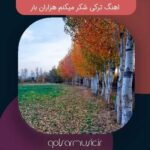 دانلود اهنگ ترکی شکر میکنم هزاران بار دانلود اهنگ ترکی شکر میکنم هزاران بار