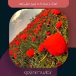 دانلود اهنگ از اینجا تا به شیراز خیلی راهه