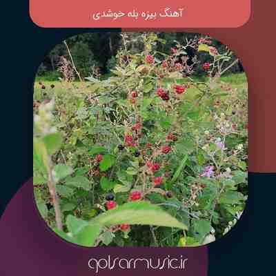 دانلود آهنگ بیزه بله خوشدی