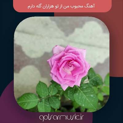 دانلود آهنگ محبوب من از تو هزاران گله دارم