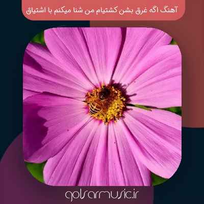 دانلود آهنگ اگه غرق بشن کشتیام من شنا میکنم با اشتیاق