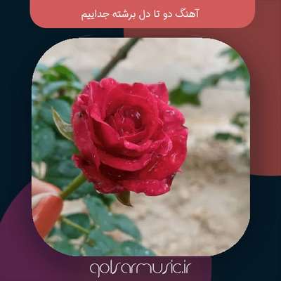 دانلود آهنگ دو تا دل برشته جداییم