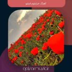 دانلود آهنگ خرابتوم امشو