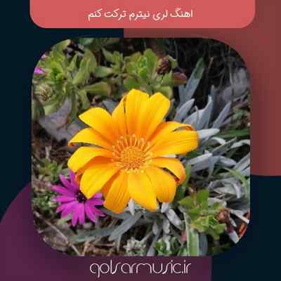 دانلود اهنگ لری نیترم ترکت کنم دو اجرای متفاوت Mp3
