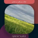 دانلود آهنگ زدی قلبمو تو شکستی دانلود آهنگ زدی قلبمو تو شکستی