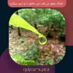 دانلود آهنگ عشق من قلب این عاشق با تو آروم میگیره تمام اجرا ها