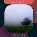 دانلود آهنگ گل من عاشق من از دو خواننده + پخش آنلاین