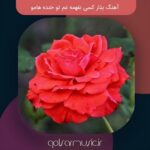 دانلود آهنگ بذار کسی نفهمه غم تو خنده هامو