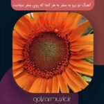دانلود آهنگ تو برو به سفر به هر کجا که روی سفر سلامت دانلود آهنگ تو برو به سفر به هر کجا که روی سفر سلامت