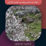 دانلود آهنگ وه یه قدمی بهشت وه خاطرت گناه کم دانلود آهنگ وه یه قدمی بهشت وه خاطرت گناه کم