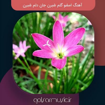 دانلود آهنگ امشو گلم شبرن جان دلم شبرن دانلود آهنگ امشو گلم شبرن جان دلم شبرن