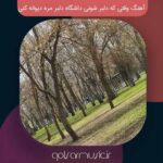 دانلود آهنگ وقتی که دلبر شونی دانشگاه دلبر مره دیوانه کنی دانلود آهنگ وقتی که دلبر شونی دانشگاه دلبر مره دیوانه کنی