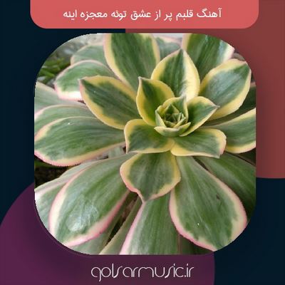 دانلود آهنگ قلبم پر از عشق توئه معجزه اینه دانلود آهنگ قلبم پر از عشق توئه معجزه اینه