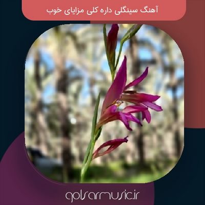 دانلود آهنگ سینگلی داره کلی مزایای خوب