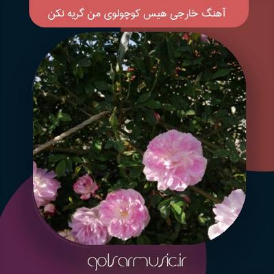 دانلود آهنگ خارجی هیس کوچولوی من گریه نکن