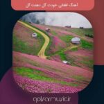 دانلود آهنگ افغانی خودت گل دهنت گل اجرا های مختلف