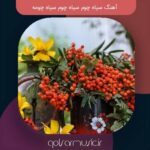 دانلود آهنگ سیاه چوم سیاه چوم سیاه چومه از تمام اجرا ها دانلود آهنگ سیاه چوم سیاه چوم سیاه چومه از تمام اجرا ها